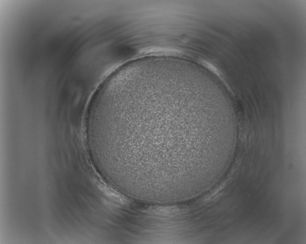 X0000068271074200604281545