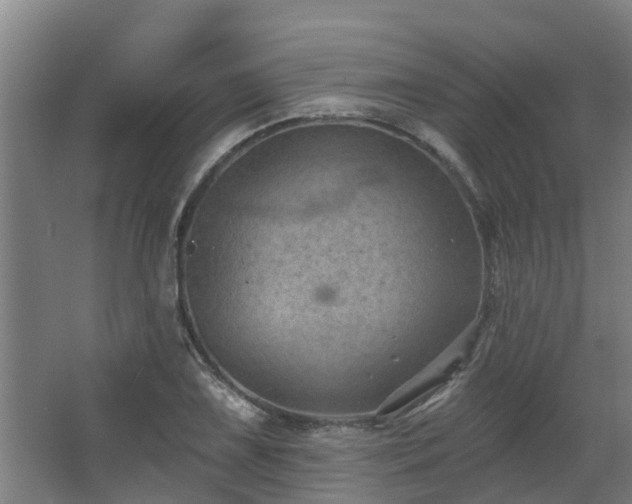 X0000068271075200604281545