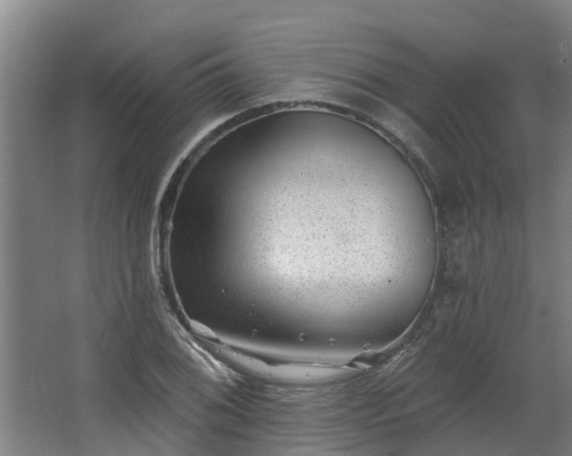 X0000068271076200604281545