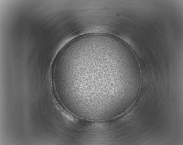 X0000068271078200604281545