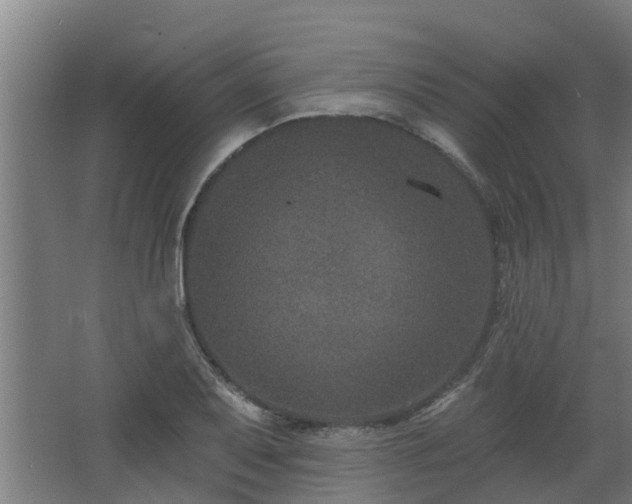 X0000068271079200604281545