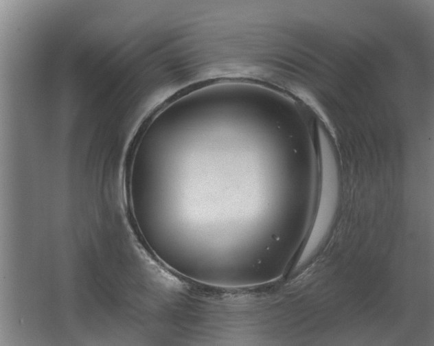 X0000068271080200604281545