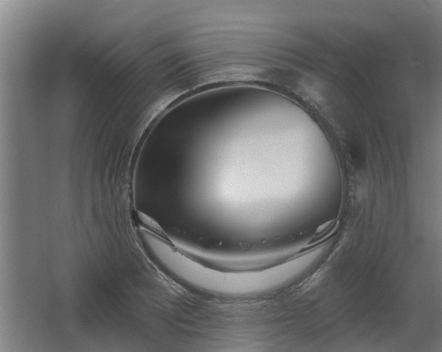 X0000068271081200604281545