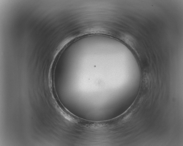 X0000068271082200604281545