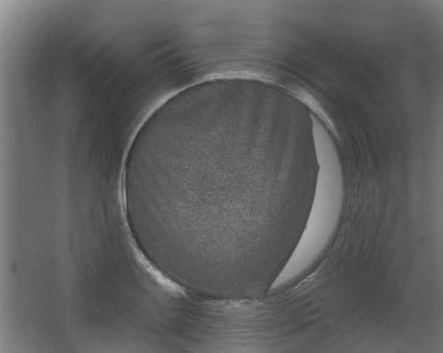 X0000068271084200604281545