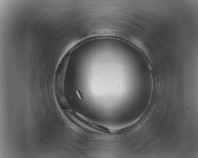 X0000068271085200604281545