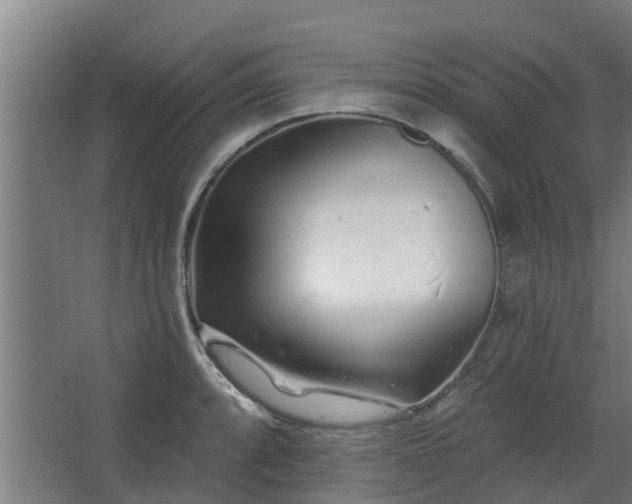 X0000068271088200604281545