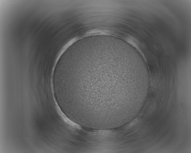 X0000068271090200604281545