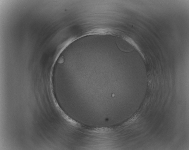 X0000068271091200604281545