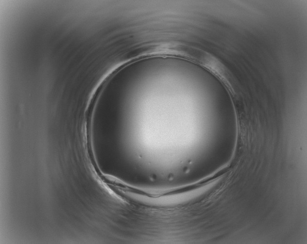 X0000068271092200604281545