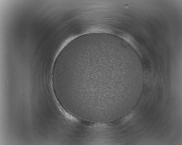 X0000068271094200604281545