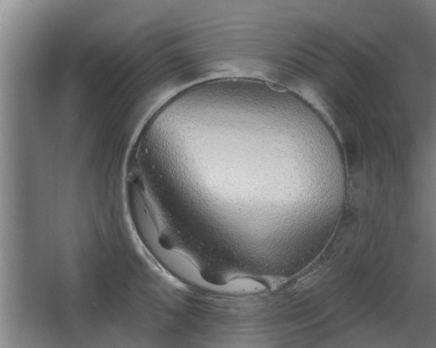 X0000068271096200604281545