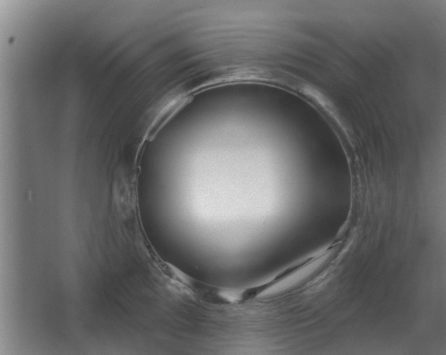 X0000068271097200604281545