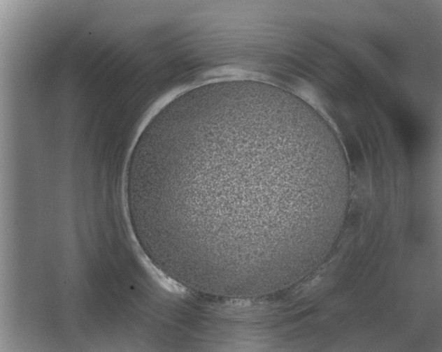 X0000068271098200604281545