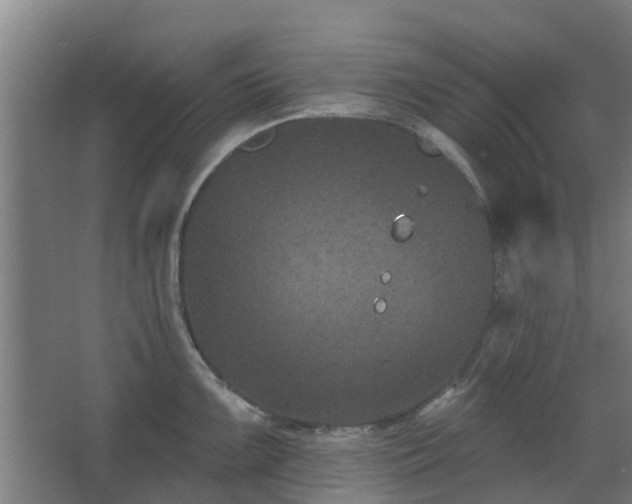 X0000068271099200604281545