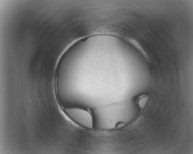 X0000068271100200604281545