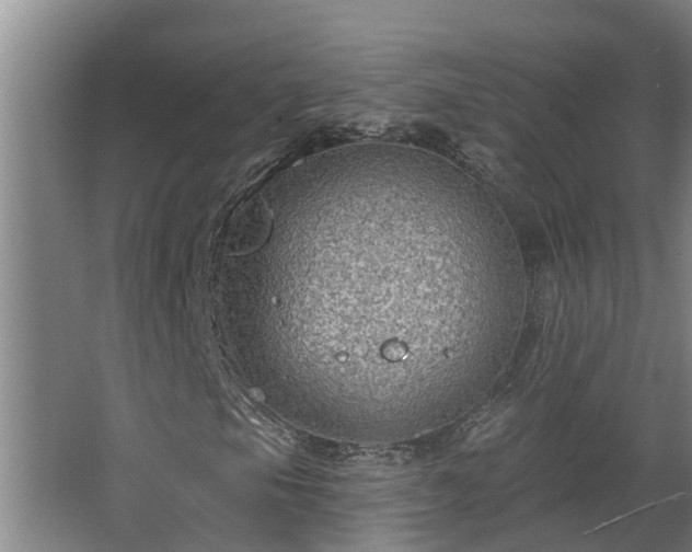 X0000068271105200604281544