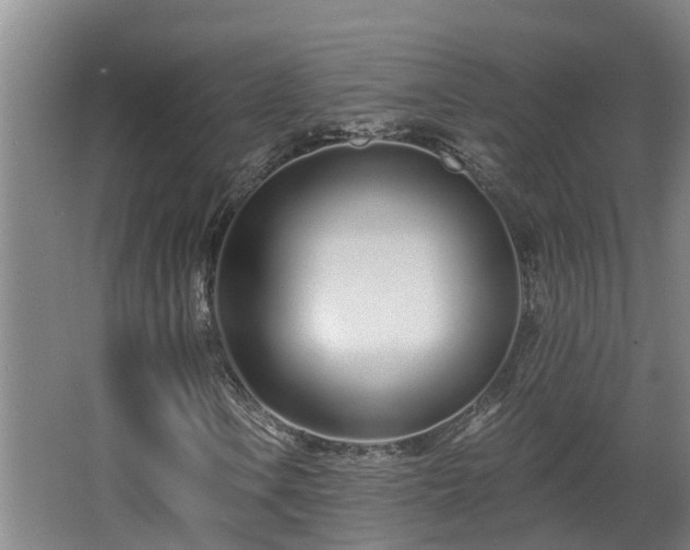 X0000068271106200604281544