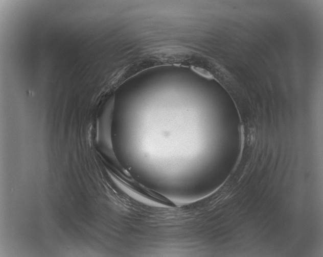 X0000068271108200604281544