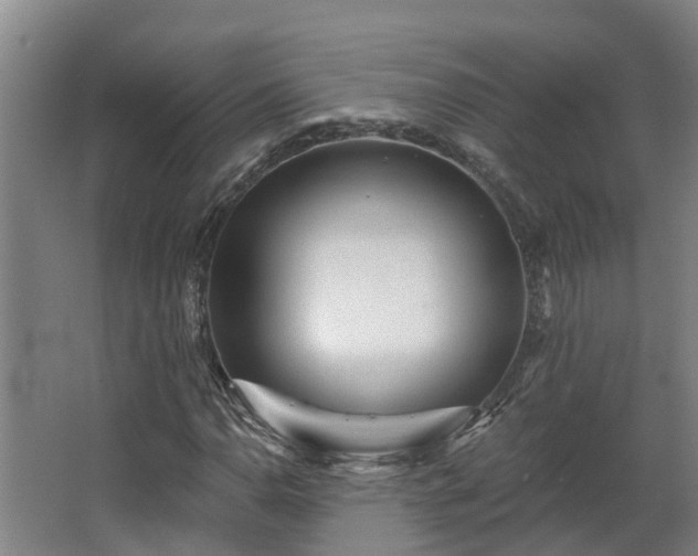 X0000068271110200604281544