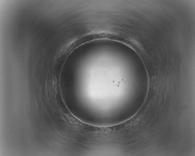 X0000068271111200604281544