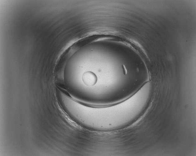 X0000068271114200604281544