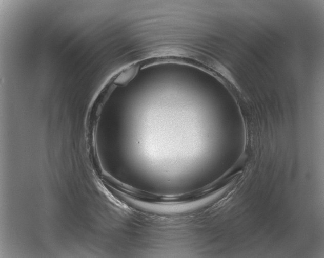 X0000068271116200604281544