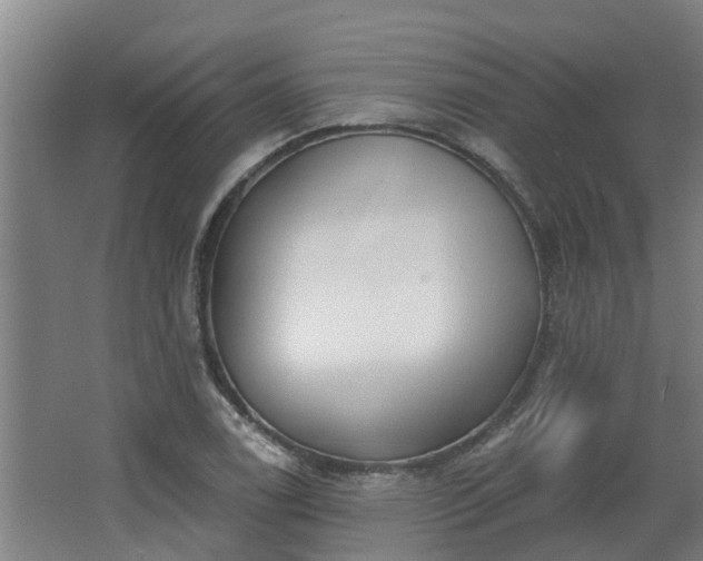 X0000068271122200604281544