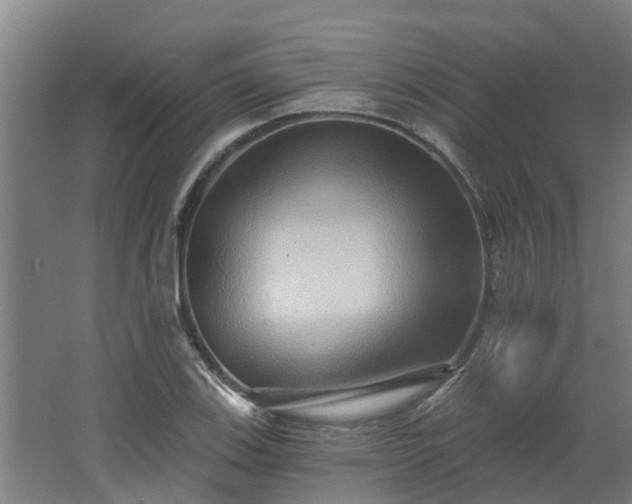 X0000068271123200604281544