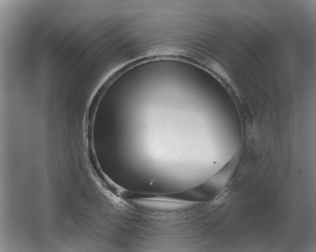 X0000068271124200604281544