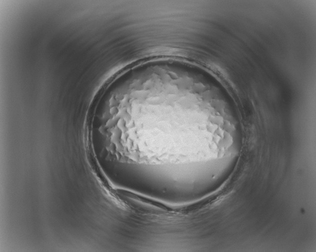 X0000068271125200604281544