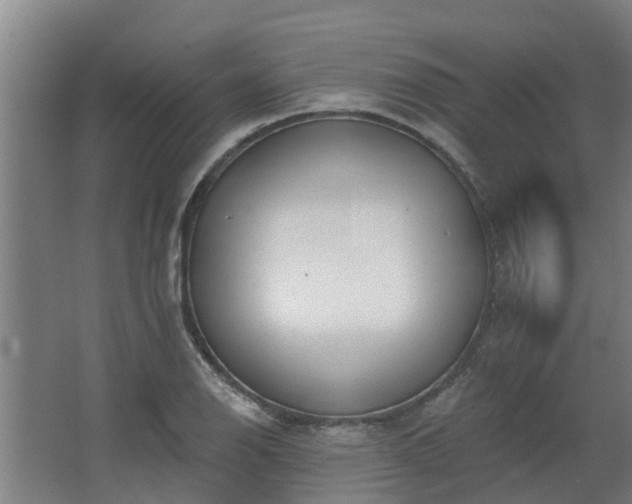 X0000068271126200604281544