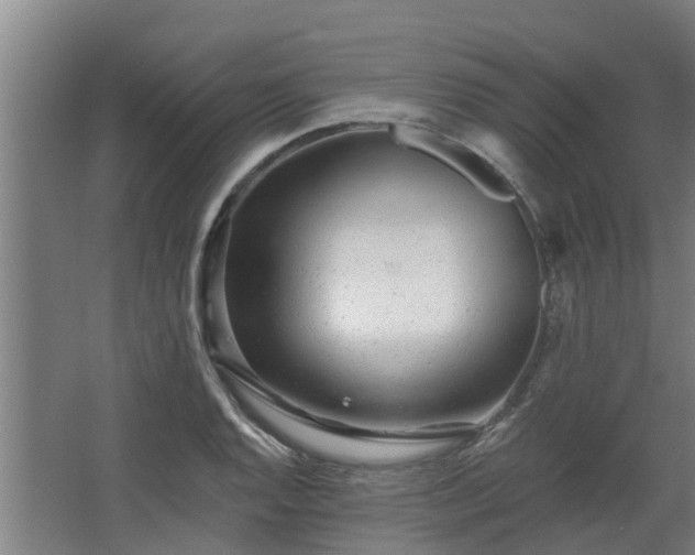 X0000068271128200604281544