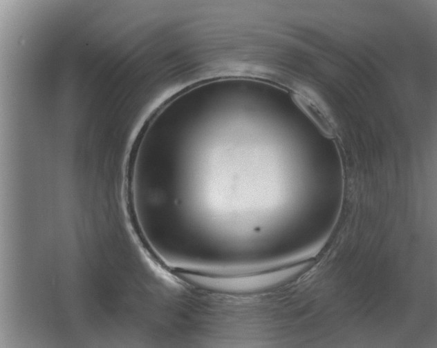 X0000068271136200604281545