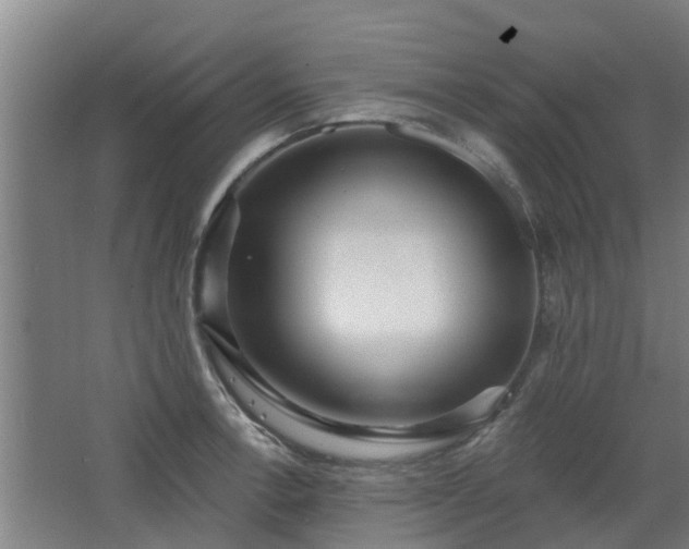 X0000068271138200604281545