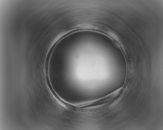 X0000068271141200604281545