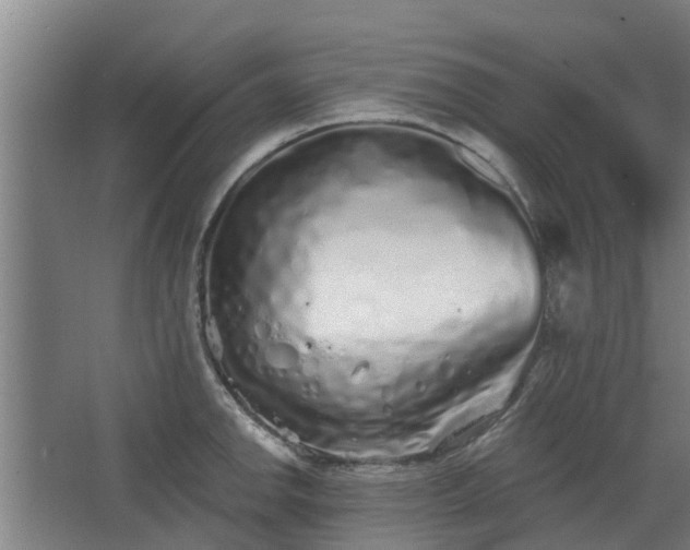 X0000068271142200604281545