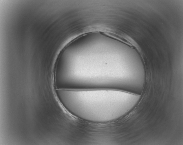 X0000068271144200604281545