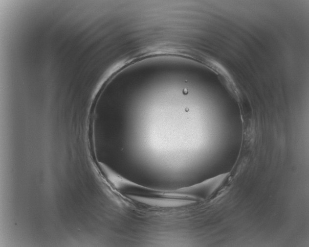 X0000068271146200604281545