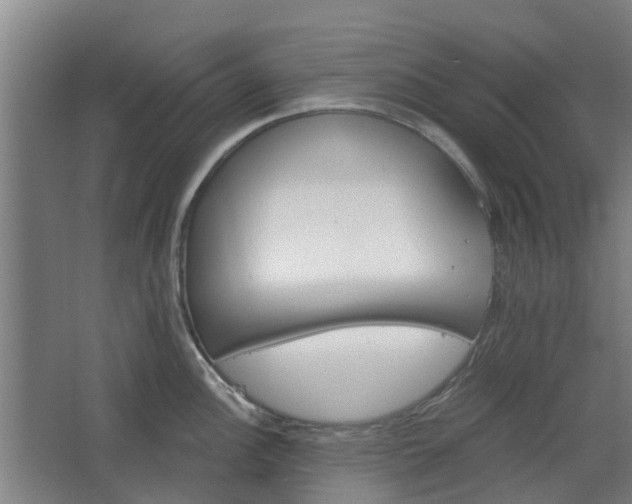 X0000068271148200604281545