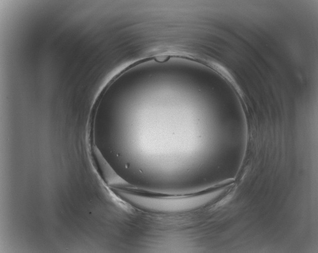 X0000068271149200604281545