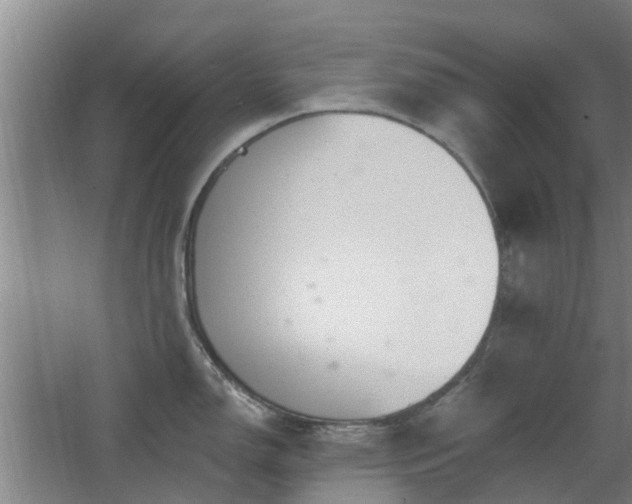 X0000068271150200604281545