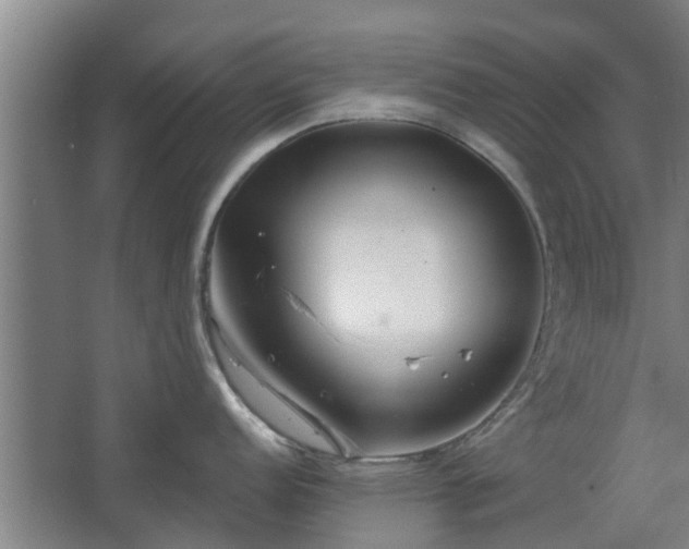 X0000068271152200604281545