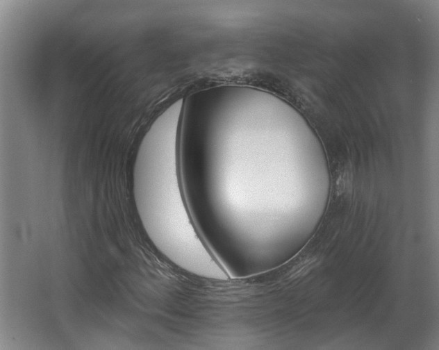 X0000068271156200604281544