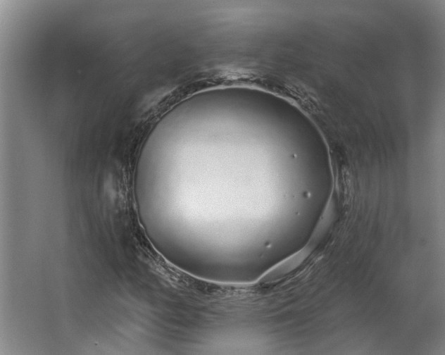 X0000068271158200604281544