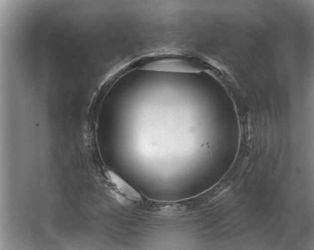 X0000068271160200604281544