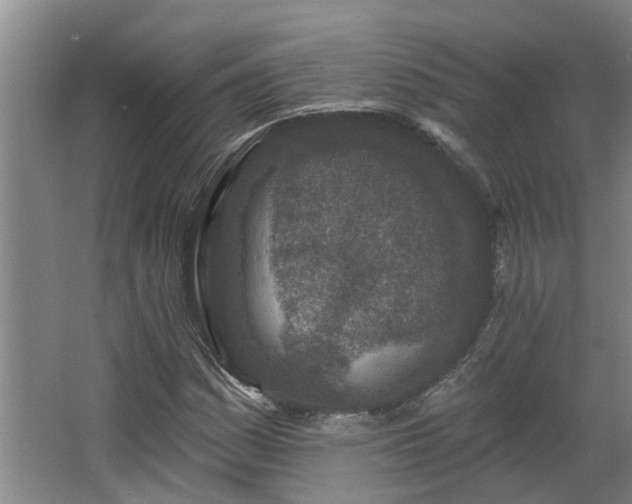 X0000068271161200604281544