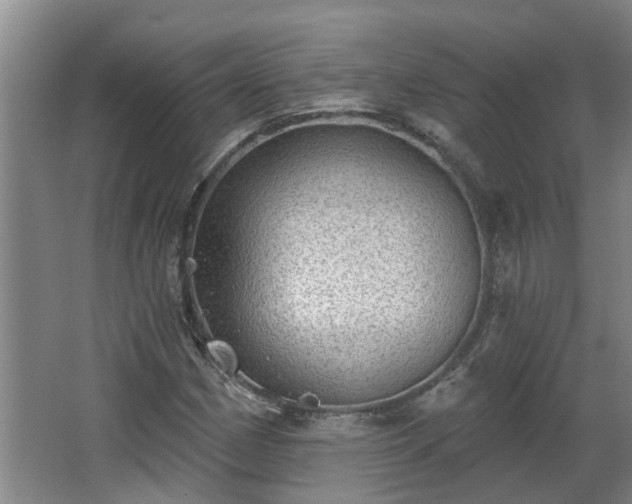 X0000068271162200604281544