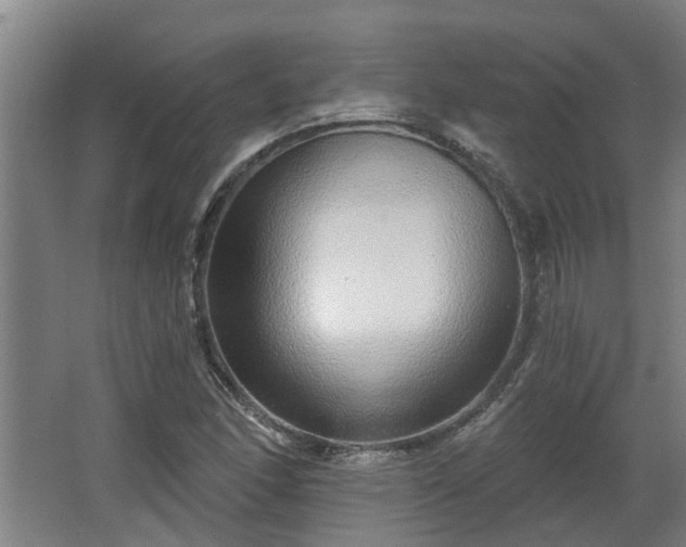 X0000068271166200604281544