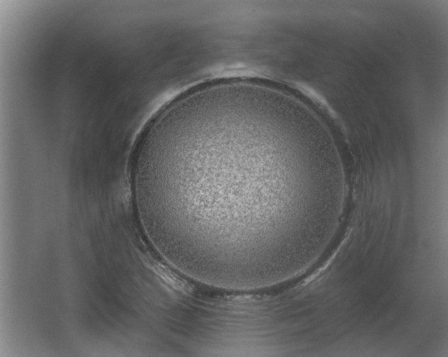 X0000068271167200604281544